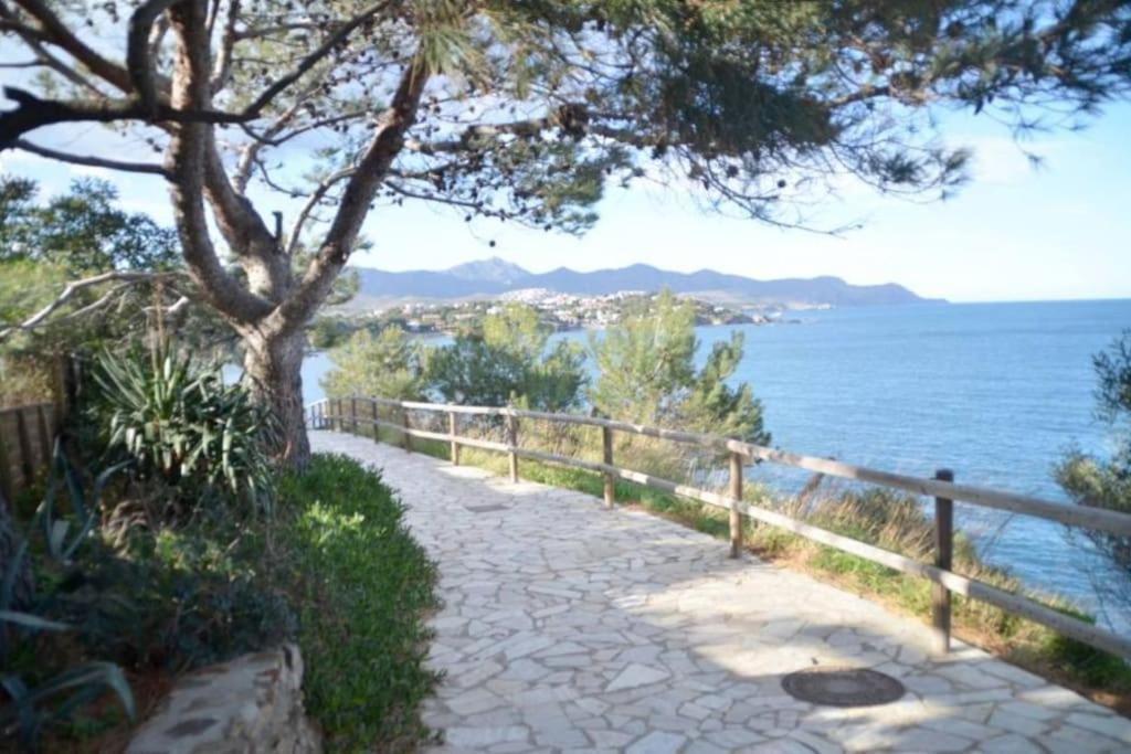 Residence Avec Piscine Face A La Mer, 1Ere Ligne Llança Exterior foto